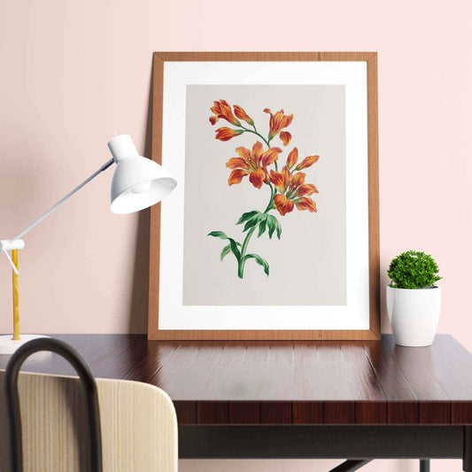 Large Orange Lily