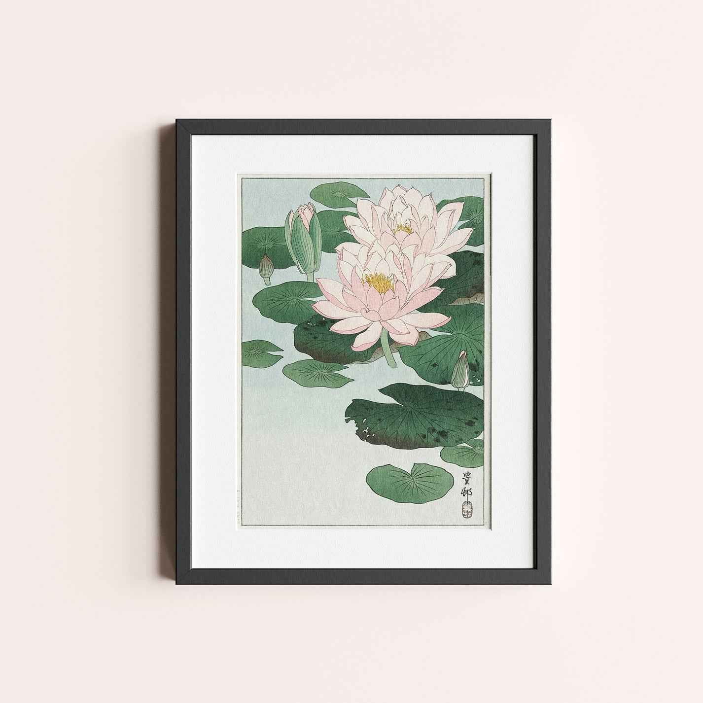 Water Lily